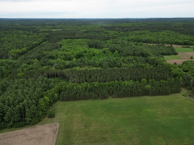 52 +/- Acres Located in Waushara County - image 14