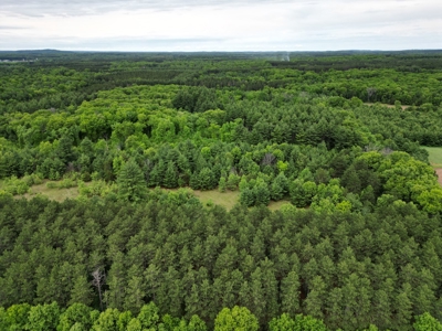 52 +/- Acres Located in Waushara County - image 10