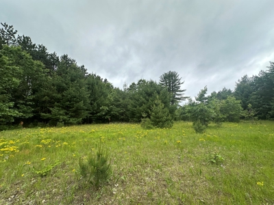 52 +/- Acres Located in Waushara County - image 21