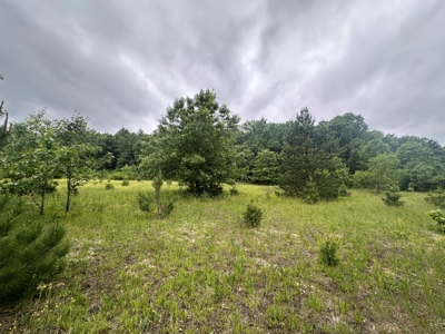 52 +/- Acres Located in Waushara County - image 24