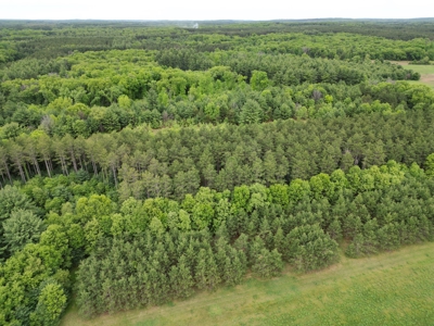 52 +/- Acres Located in Waushara County - image 9