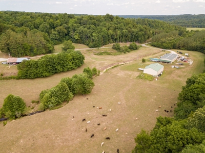 309 ac. Southern TN farm For Sale with 2 homes, Lakes, Shops - image 3