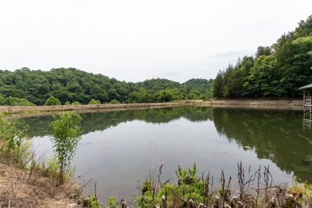 309 ac. Southern TN farm For Sale with 2 homes, Lakes, Shops - image 4