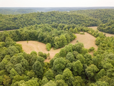 309 ac. Southern TN farm For Sale with 2 homes, Lakes, Shops - image 10