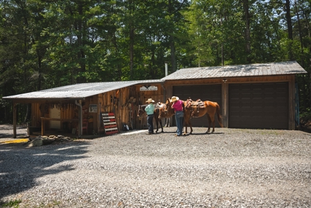 Stunning Lakefront Log Home for Sale in NC - image 34