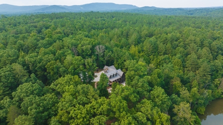 Stunning Lakefront Log Home for Sale in NC - image 36