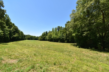 Home With Large Acreage For Sale In Linden, Tennessee - image 17