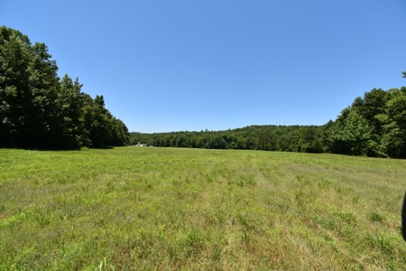 Home With Large Acreage For Sale In Linden, Tennessee - image 22