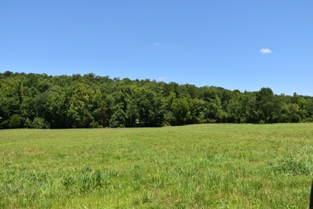 Home With Large Acreage For Sale In Linden, Tennessee - image 25