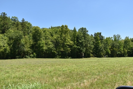 Home With Large Acreage For Sale In Linden, Tennessee - image 24