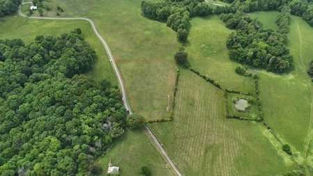 Land near Dale Hollow Lake State Park in Burkesville KY - image 4
