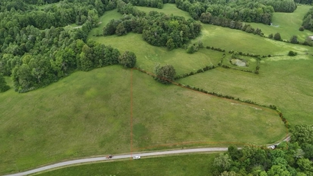 Land near Dale Hollow Lake State Park in Burkesville KY - image 3