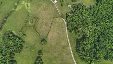 Land near Dale Hollow Lake State Park in Burkesville KY - image 12