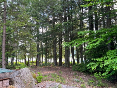 Serene Maine Lakefront Home - image 13