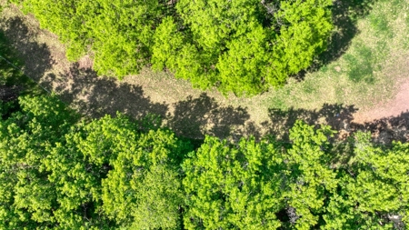 Located in Western Jackson County, WI this 23.55 acres - image 15