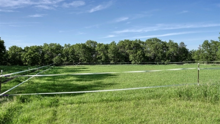 Located in Western Jackson County, WI this 23.55 acres - image 4