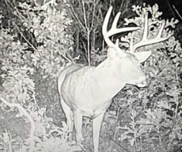 Located in Western Jackson County, WI this 23.55 acres - image 19