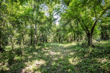 Brand New Construction Tiny Home 20 Acres Adams County - image 16
