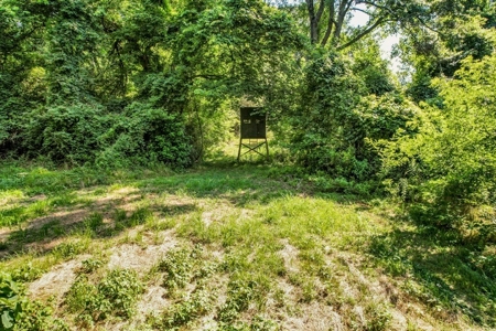Brand New Construction Tiny Home 20 Acres Adams County - image 21