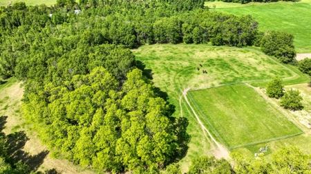 Located in Western Jackson County, WI this 23.55 acres - image 9