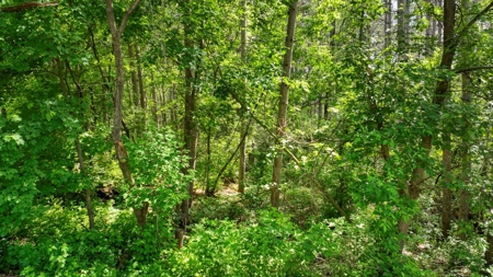 Located in Western Jackson County, WI this 23.55 acres - image 8