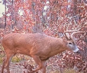 Located in Western Jackson County, WI this 23.55 acres - image 18