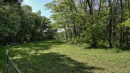 Located in Western Jackson County, WI this 23.55 acres - image 3