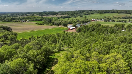 Located in Western Jackson County, WI this 23.55 acres - image 12
