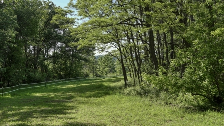 Located in Western Jackson County, WI this 23.55 acres - image 5