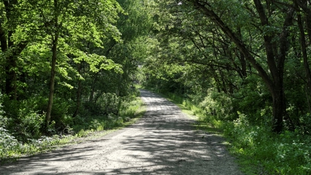 Located in Western Jackson County, WI this 23.55 acres - image 13
