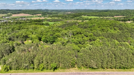 Western Jackson County, WI 11.77 Timbered Acre - image 10