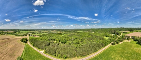 Western Jackson County, WI 11.77 Timbered Acre - image 2