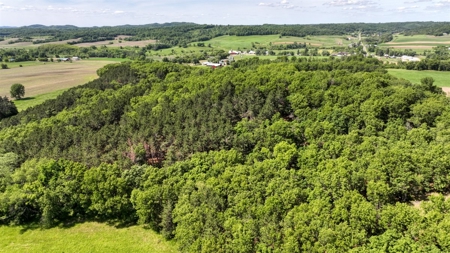 Western Jackson County, WI 11.77 Timbered Acre - image 12