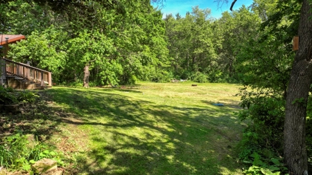 Western Jackson County, WI 11.77 Timbered Acre - image 8