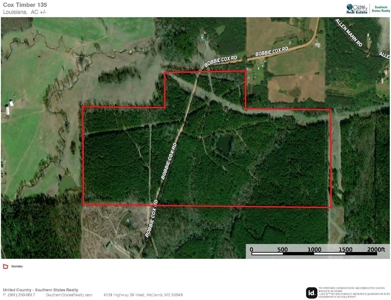 Downsville 135 - Union Parish Timberland for Sale - image 42