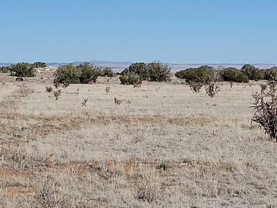 79.2 Acres with Views & Road Access – Estancia, NM Land - image 1
