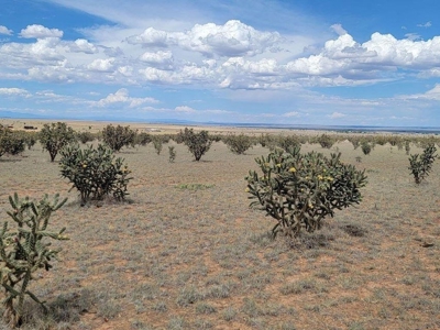 12.5 Acres in Edgewood with Stunning Mountain Views - image 2