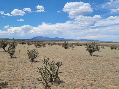 12.5 Acres in Edgewood with Stunning Mountain Views - image 1