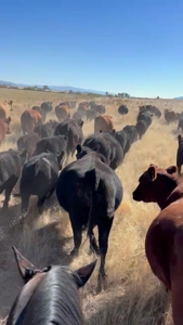 Eastern Oregon Roberts Organic Farm - image 50