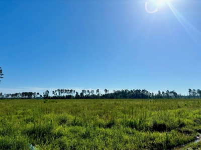 Land for Sale in Tangipahoa Parish, LA - image 20
