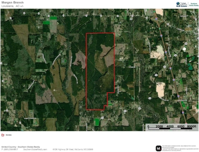 Land for Sale in Tangipahoa Parish, LA - image 22