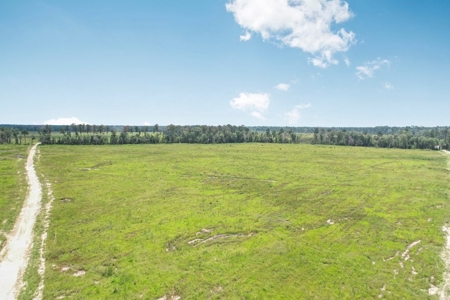 Land for Sale in Tangipahoa Parish, LA - image 3