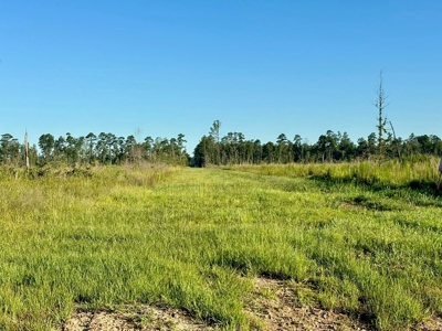 Land for Sale in Tangipahoa Parish, LA - image 12
