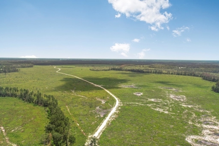 Land for Sale in Tangipahoa Parish, LA - image 5