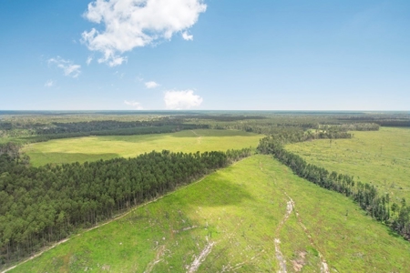 Land for Sale in Tangipahoa Parish, LA - image 6