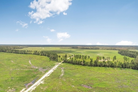 Land for Sale in Tangipahoa Parish, LA - image 4