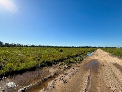 Land for Sale in Tangipahoa Parish, LA - image 19