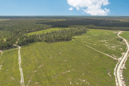 Land for Sale in Tangipahoa Parish, LA - image 9