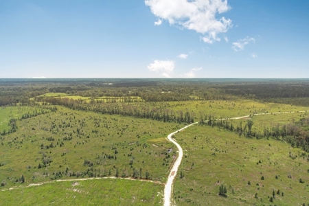 Land for Sale in Tangipahoa Parish, LA - image 11