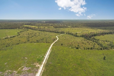 Land for Sale in Tangipahoa Parish, LA - image 1